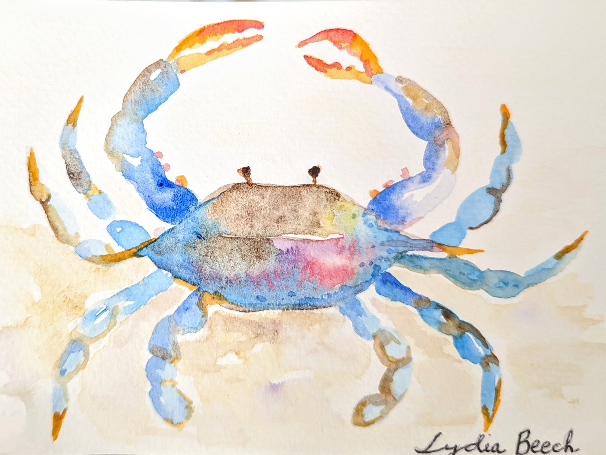Costa Rica Animal Serie - Watercolor