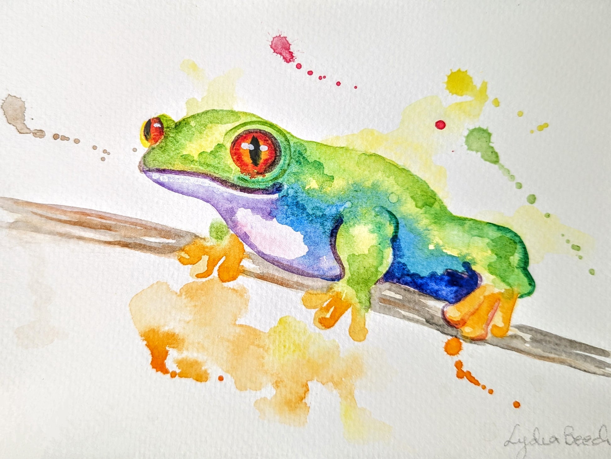 Costa Rica Animal Serie - Watercolor