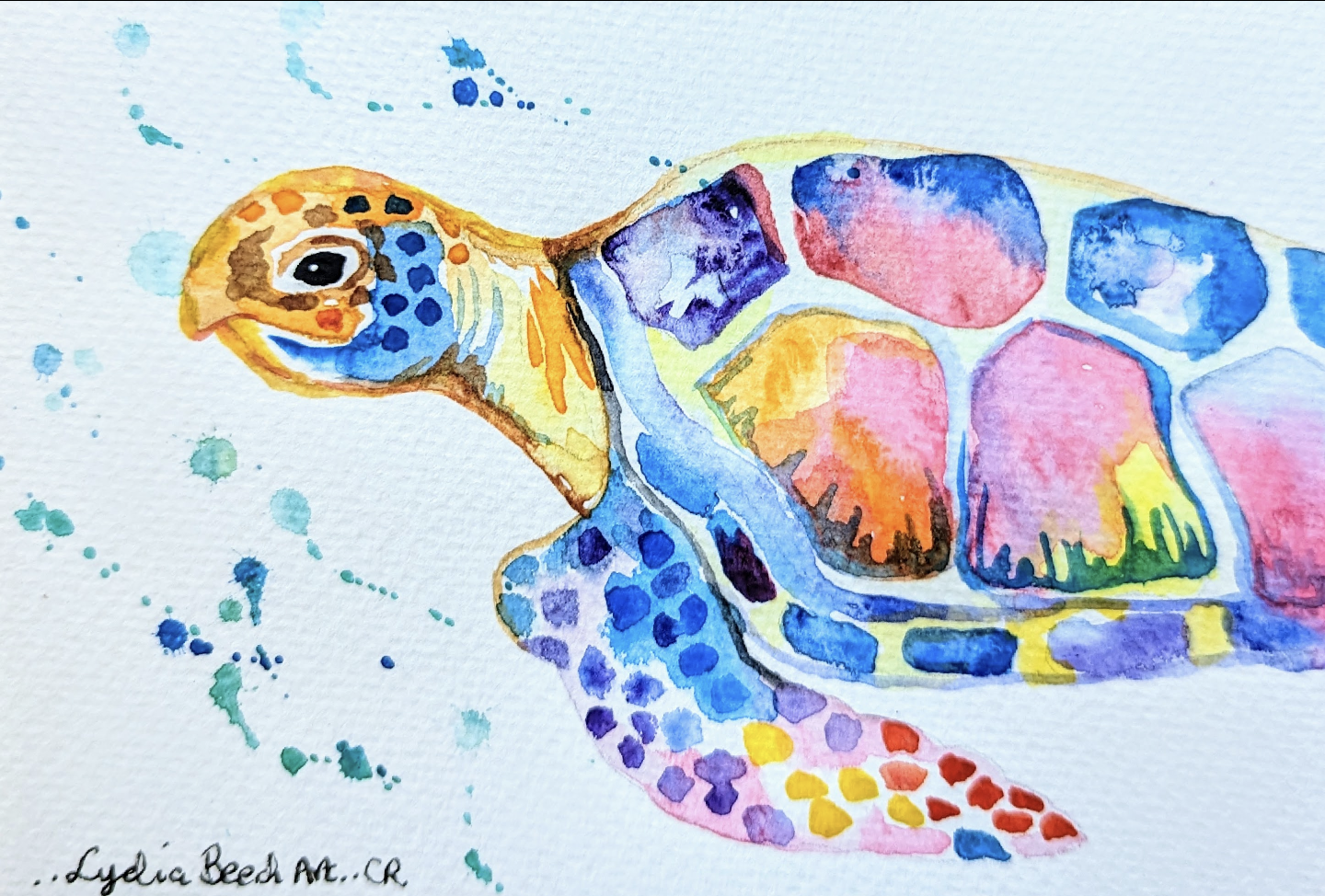 Costa Rica Animal Serie - Watercolor