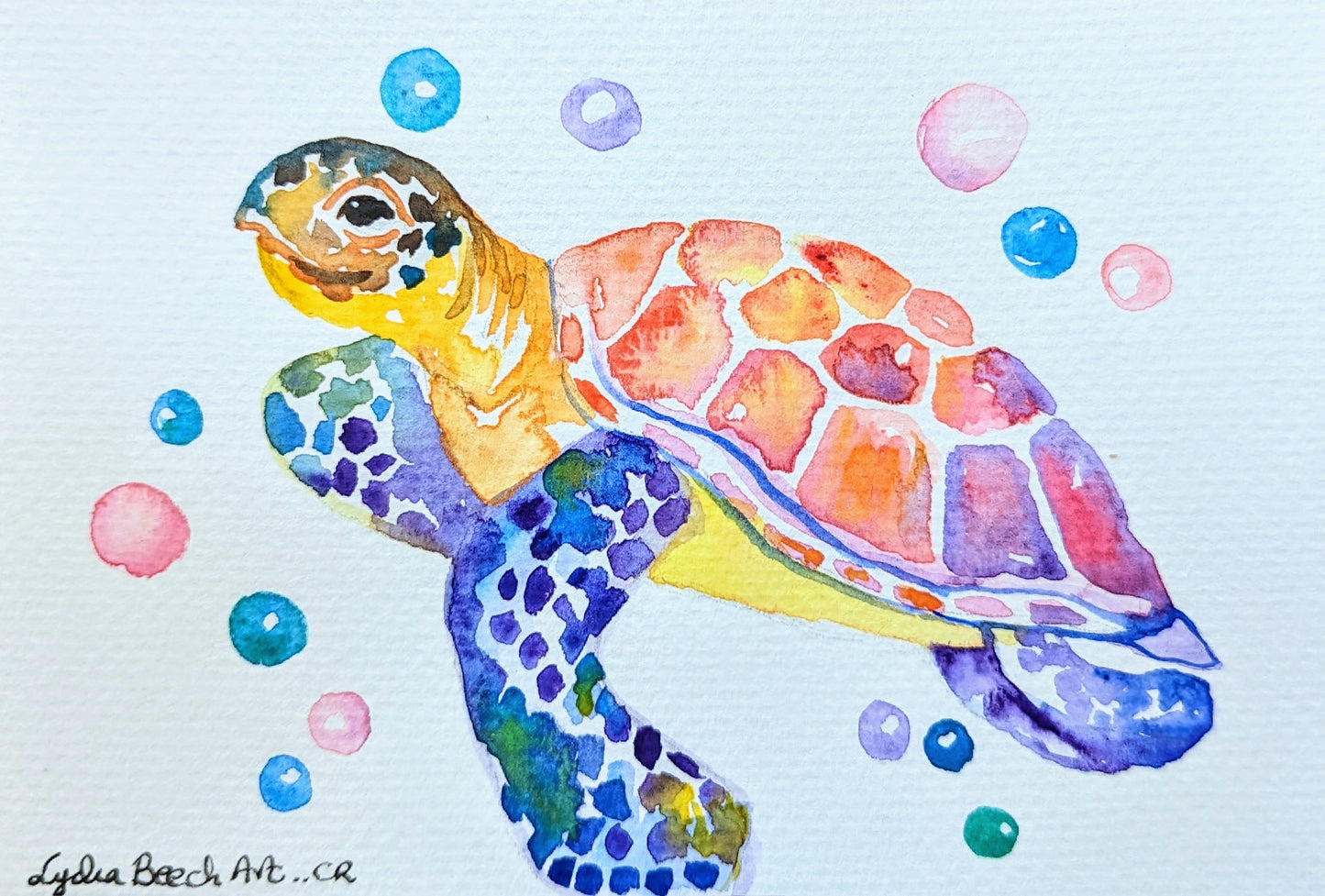 Costa Rica Animal Serie - Watercolor