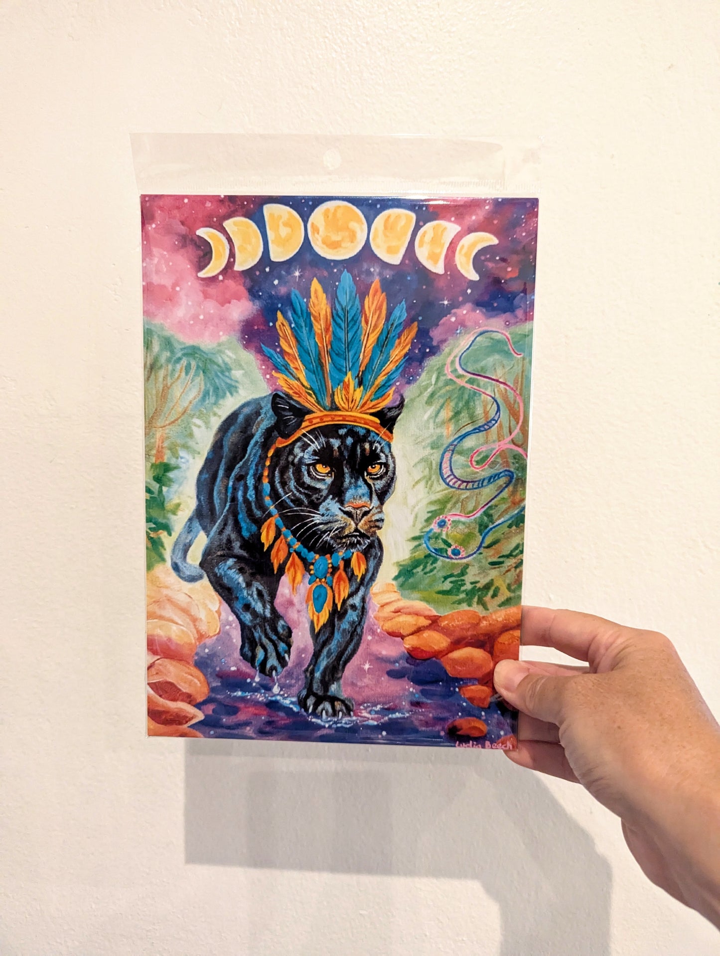 Exquisite photographic print packages