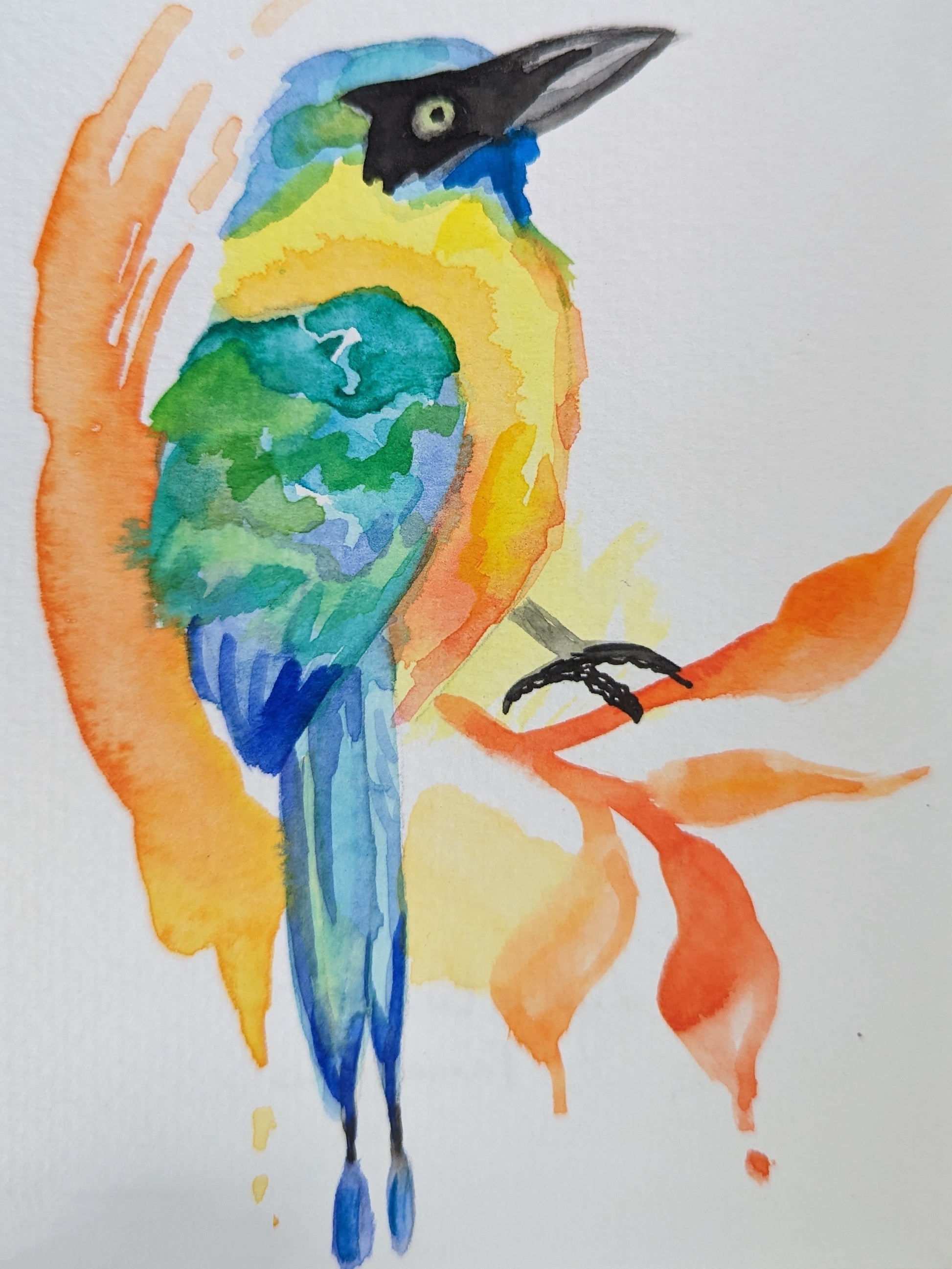 Costa Rica Animal Serie - Watercolor