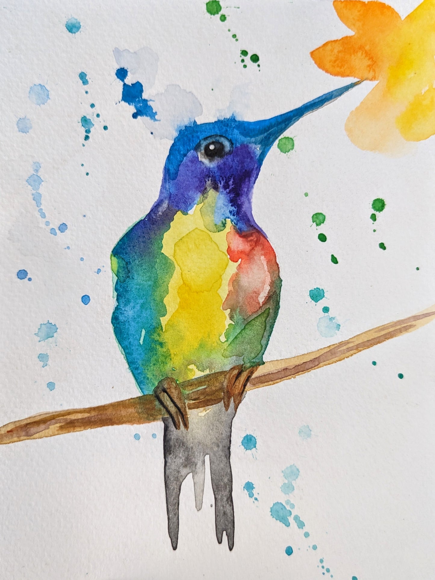 Costa Rica Animal Serie - Watercolor