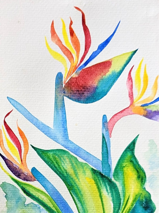 Costa Rica Flora Serie - Watercolor