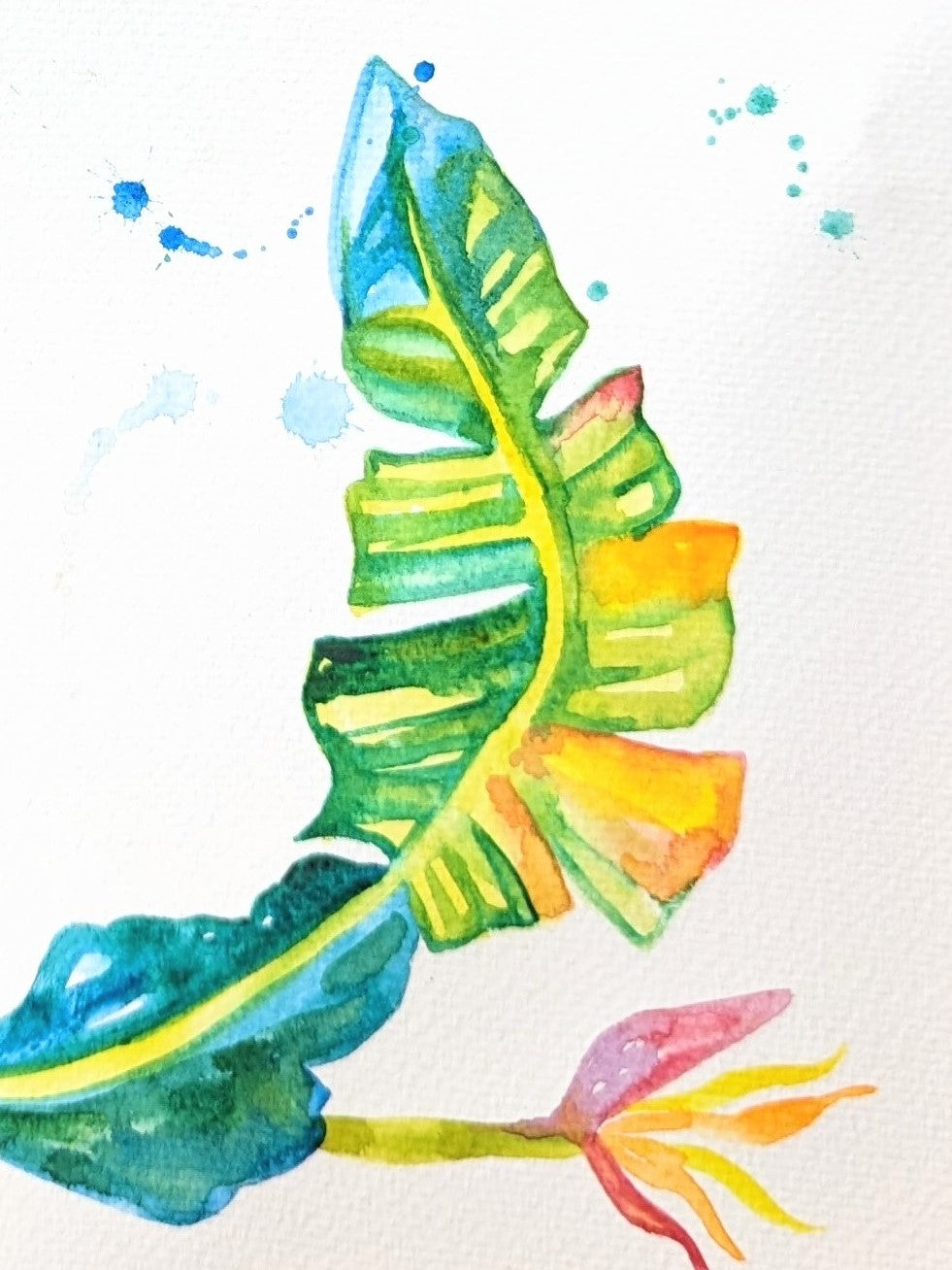 Costa Rica Flora Serie - Watercolor