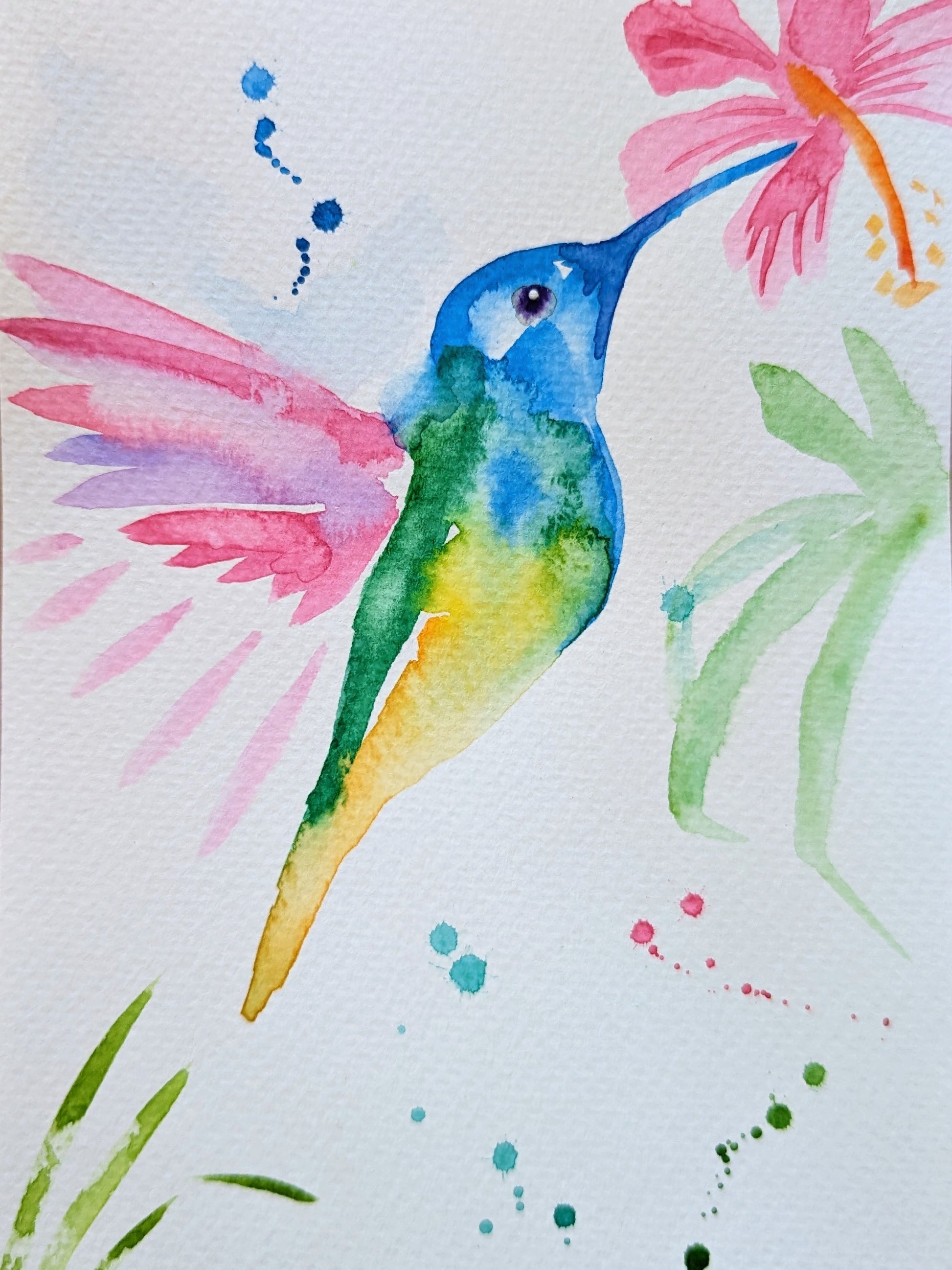 Costa Rica Animal Serie - Watercolor